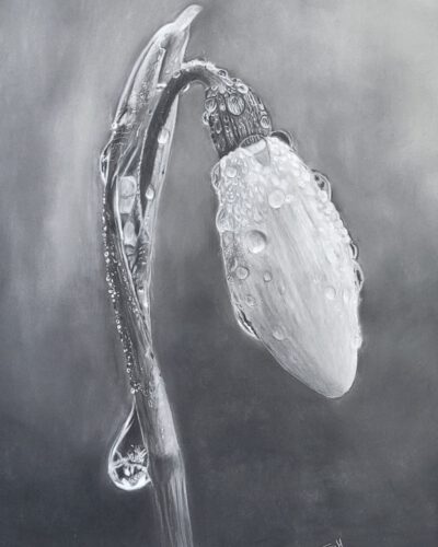 Wenskaart { Raindrops }