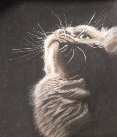 cursus ´ into the dark op velours papier' start Cursus ´Into the dark´ Start 7 April 2026