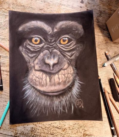 cursus ´ into the dark op velours papier' start Cursus ´Into the dark´ Start 7 April 2026