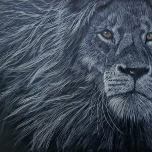 Cursus ´Into the dark´ Start 7 April 2026