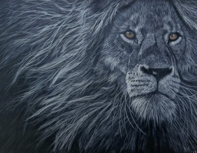 cursus ´ into the dark op velours papier' start Cursus ´Into the dark´ Start 7 April 2026