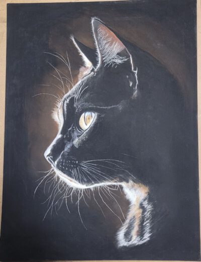 cursus ´ into the dark op velours papier' start Cursus ´Into the dark´ Start 7 April 2026