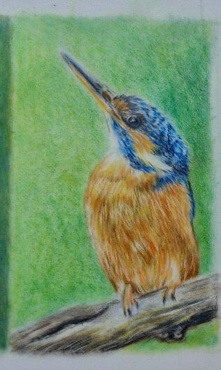 Middag workshop ´miniatuur tekenen met kleurpotloden´  25 April