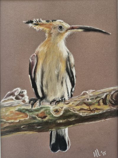 heggemus (kopie) Hop