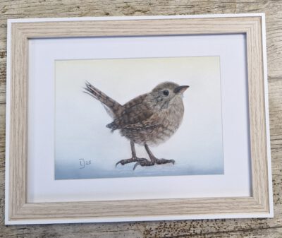 winterkoninkje winterkoninkje