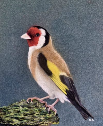 koperwiek (kopie) Puttertje