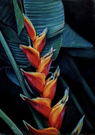 Twee-daagse workshop 'Alleen maar tekenen´ 11&12 Juli 2026