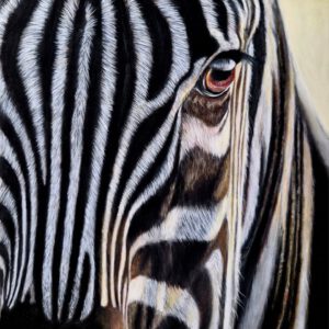 Twee-daagse workshop 'Alleen maar tekenen´ 11&12 Juli 2026