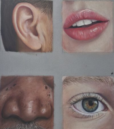 Cursus ´Basis van portret tekenen met pastelpotloden´ Start 16 september 2026