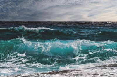 middagworkshop 'sea' 14 mei 2026 (hemelvaart) Middagworkshop 'Sea' met pastelpotloden en krijt. 14 Mei 2026 (Hemelvaart)