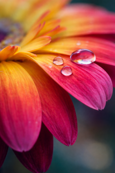 Middagworkshop join me ''kleur & druppels´ 2 oktober 2026