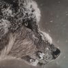 Cursus ´kerstmagie in pastel' - Start 4 November 2026